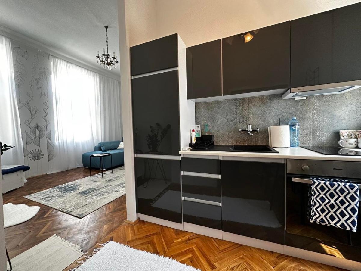 Pure Of Joy City Centre Apartment Subotica Dış mekan fotoğraf